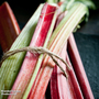 Rhubarb 'Victoria' (Spring/Autumn Planting)