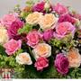 Rose 'Home Florist Timeless' Collection