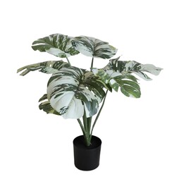 Artificial Monstera Tree (50cm)