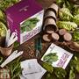 Thompson & Morgan - Cut & Come Again Seed Growing Kit