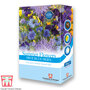 Thompson & Morgan - Summer Flowers Theme Blue Skies - Seed Scatter Pack