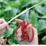 Garden Essentials - Garden Scissors