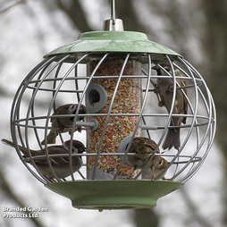 The Nuttery Squirrel-Proof Helix Seed Feeder Celadon Green - Gift