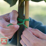 Garden Essentials - Soft Tie