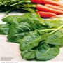 Spinach 'Perpetual' (Spinach Beet) - Seeds