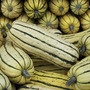 Squash 'Honeyboat' (Winter) - Seeds