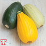 Squash 'Griller's Mix' F1 Hybrid (Summer) - Seeds