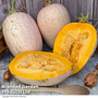 Squash 'Jumbo Pink Banana' (Winter) - Seeds