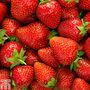 Strawberry 'Elsanta'