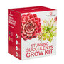 Thompson & Morgan - Stunning Succulents Seed Growing Kit