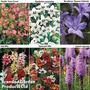 Summer Bulb Collection