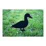 Duck Facing - Hand Made By Traditional Forge Powder Coated Steel Garden Ornament - Steel - W17.8 x H30.5 cm - Black