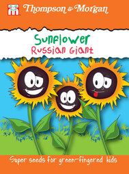 Sunflower 'Russian Giant' - Seeds for Kids