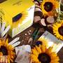 Thompson & Morgan - Stunning Sunflower Seed Growing Kit