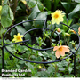 Garden Gear - Double Round Grow Through Grid Support