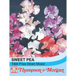Sweet Pea 'Fragrant' - Start-A-Garden? Seed Range