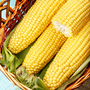 Sweetcorn 'Early Xtra Sweet' F1 Hybrid - Seeds
