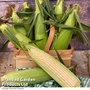 Sweetcorn 'Eden' F1 - Seeds