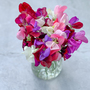 Sweet Pea 'Heirloom Bicolour Mixed' - Seeds