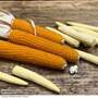 Sweetcorn 'Snobaby' F1 Hybrid - Seeds