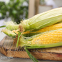 Sweetcorn 'Swift' F1 Hybrid - Seeds