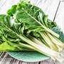 Swiss Chard 'Fordhook Giant' - Seeds