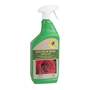 Sulphur Rose - RTU - 1 Litre