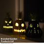 Halloween Tillandsia in Ghoulish Gourdon Pot