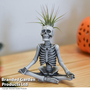 Halloween Tillandsia in Skeleton Pot