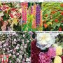 Small Perennial Saver Collection