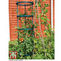 Garden Gear - Tomato Growing Support