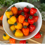Tomato 'Appleberry Series' F1 - Seeds