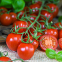 Tomato 'Rubylicious'