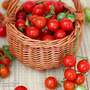 Tomato 'Tumbling Tom Red'