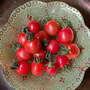 Tomato 'Umamini' F1 - Seeds