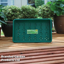 Garden Essentials - Full Size Seed Trays