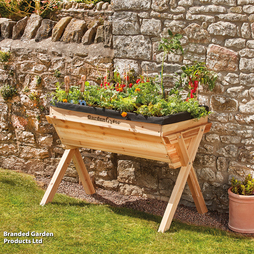 Garden Grow Large Raised Wooden Planter - Gift