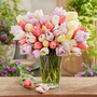 Tulip 'Pastel Bouquet'