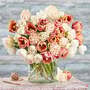 Tulip 'Vintage Double Mix'