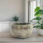 Aztec Cement Bowl Planter