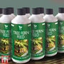 Tree Fern Feed