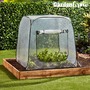 Garden Grow Pop-Up Cloche