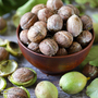 Walnut 'Europa' (Mature Tree)