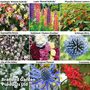 Perennial Saver Collection