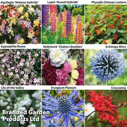 Perennial Saver Collection