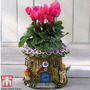 Garden Gear - Woodland Fairy Planter