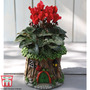 Garden Gear - Woodland Ladybird Planter