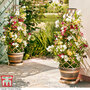 Garden Gear - Wooden Barrel Effect Tower Pot