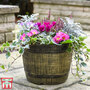 Whisky Barrel Planter