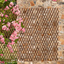 Extendable Willow Trellis - Twin Pack